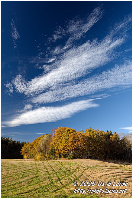 Autumn In Vestfold - Best of 2006, Norway