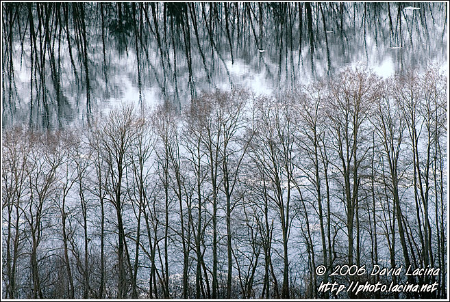 Trees And River - Best of 2006, Norway