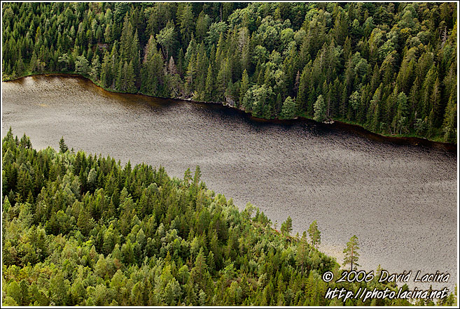 Trees And Lake - Best of 2006, Norway