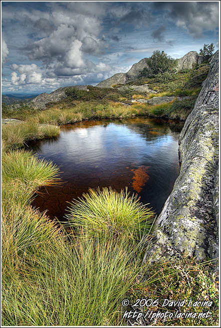 Rønnomnipen - Best of 2006, Norway