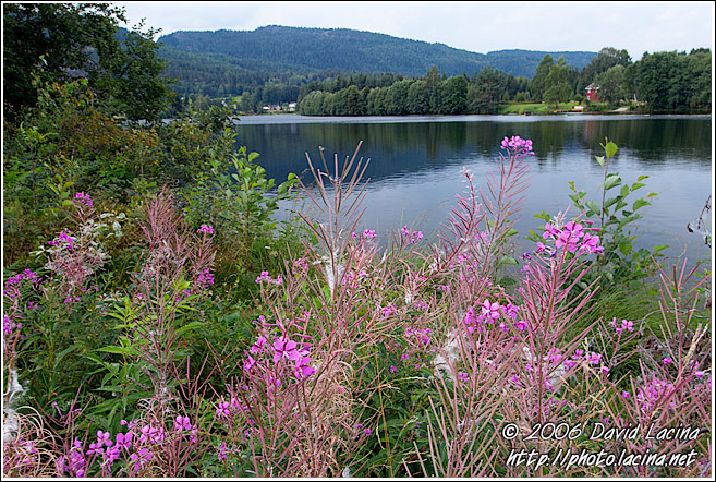 Landscape Of The Telemarkskanalen - The Telemark Canal (Telemarkskanalen), Norway