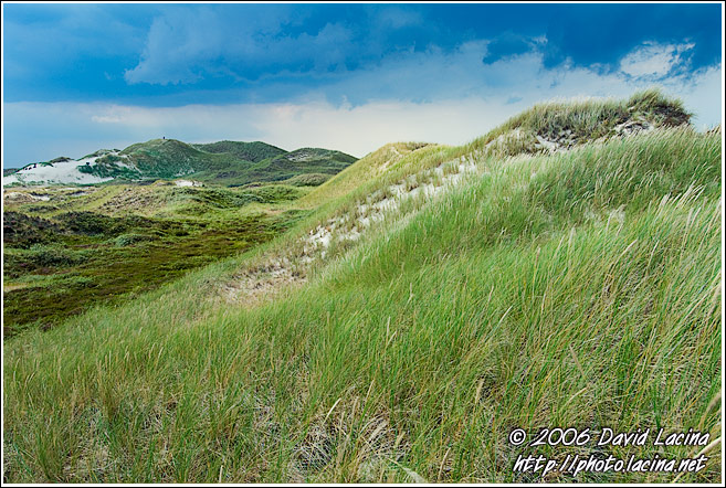 Landscape Of Råbjerg Mile - Skagen, Denmark