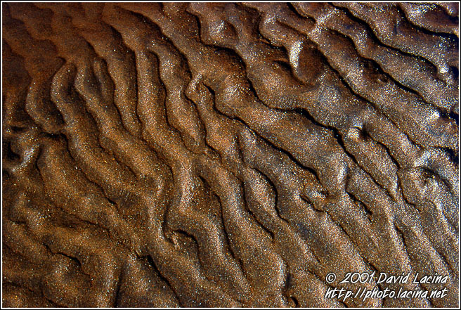 Sand Abstraction - Lofoten, Norway