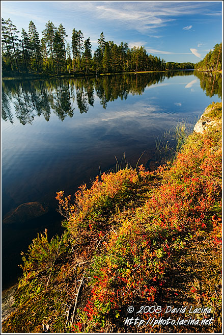 Fall Colors By A Water Channel - Fjorda In Autumn, Norway