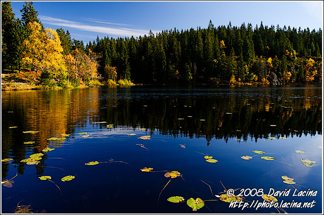 Skjennungen - Autumn in Nordmarka, Norway