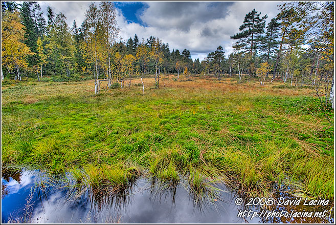 A Moor On The Way To Skjennungstua - Autumn in Nordmarka, Norway