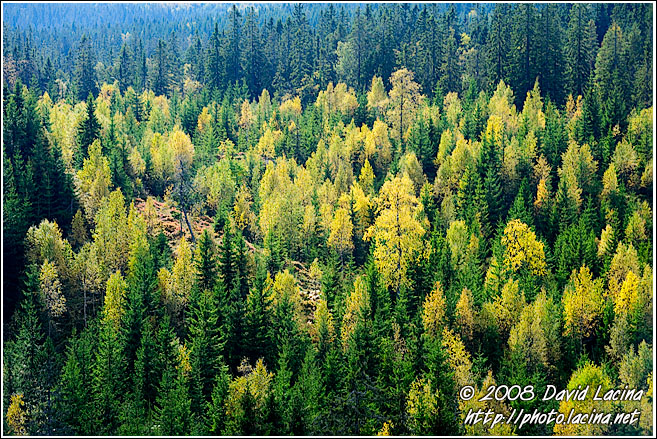 View From Skjennungstua Towards Tryvann - Autumn in Nordmarka, Norway