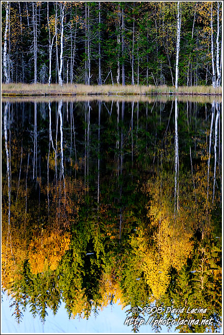 Sunset By Skomakertjern - Autumn in Nordmarka, Norway