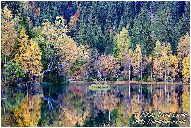 Fall Colors By Store Tryvannstua - Autumn in Nordmarka, Norway