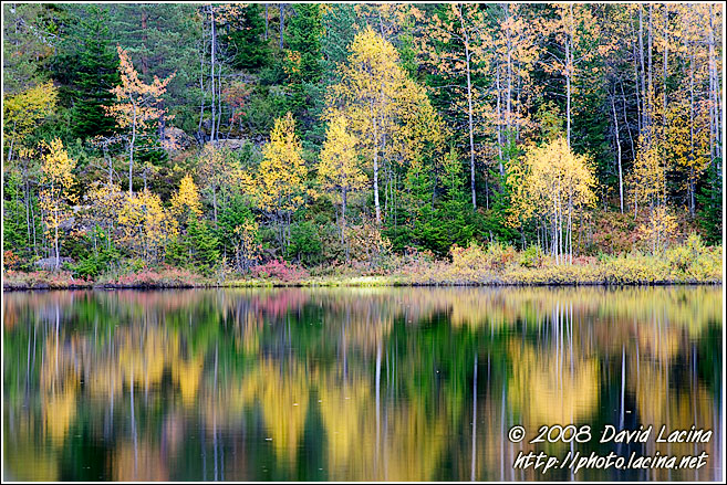Fall By Kopperhaugtjernet - Autumn in Nordmarka, Norway
