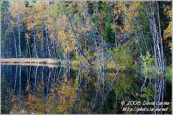 Autumn By Skomakertjern - Autumn in Nordmarka, Norway