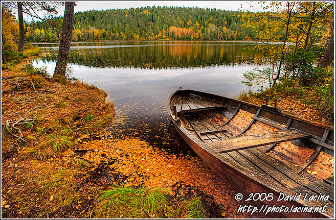 Fall By Kopperhaugtjernet - Autumn in Nordmarka, Norway