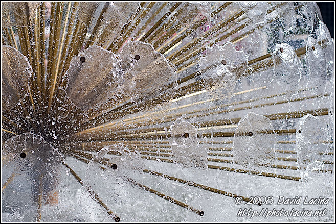 The Peacock Fountain - Best Of 2008, Norway