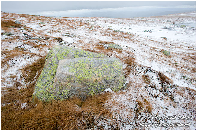 Magic Stone - Best Of 2008, Norway