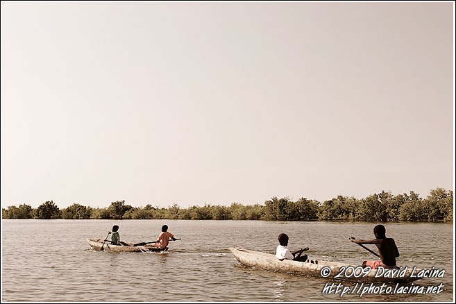 Boys On Pirogue - Casamance, Senegal