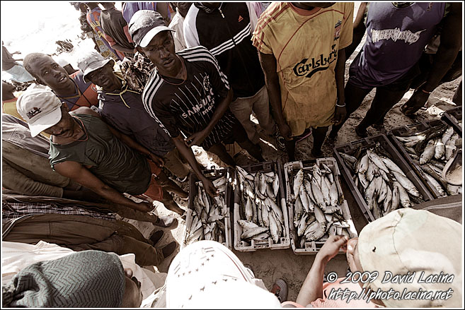 Selling Fish - Casamance, Senegal