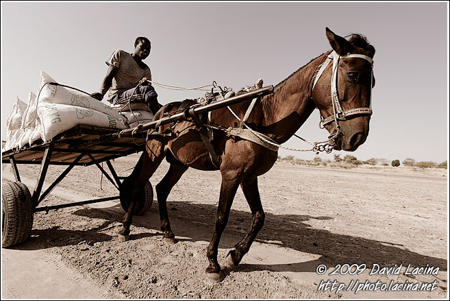 Transporting Salt - Salt Harvesting, Senegal