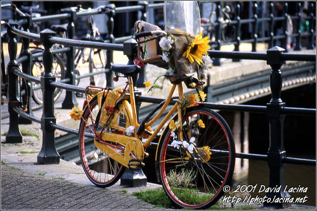 Bike On Bridge - Best Of Netherlands, Netherlands
