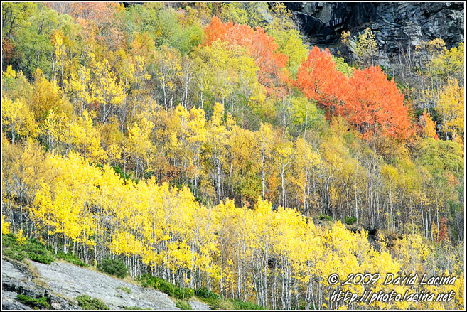 Autumn In Grøndalen - Autumn In Hemsedal, Norway