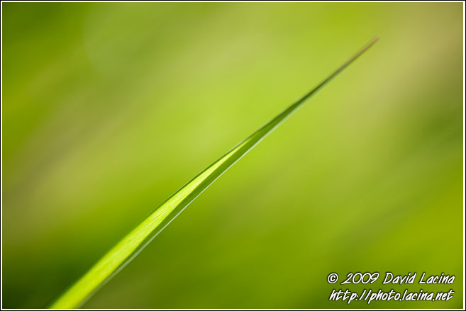 Green Power - Best Of 2009, Norway