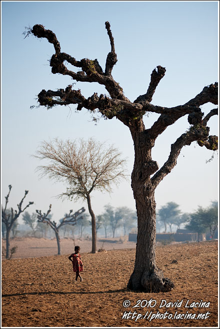 Shekhawati Landscape - Shekhawati, India