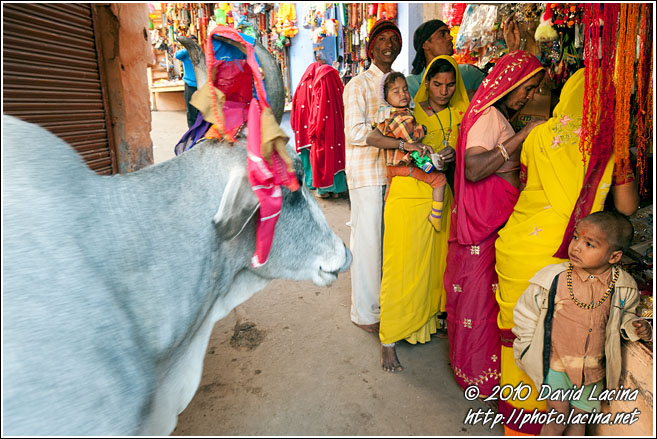 Rajasthani Family - Shekhawati, India