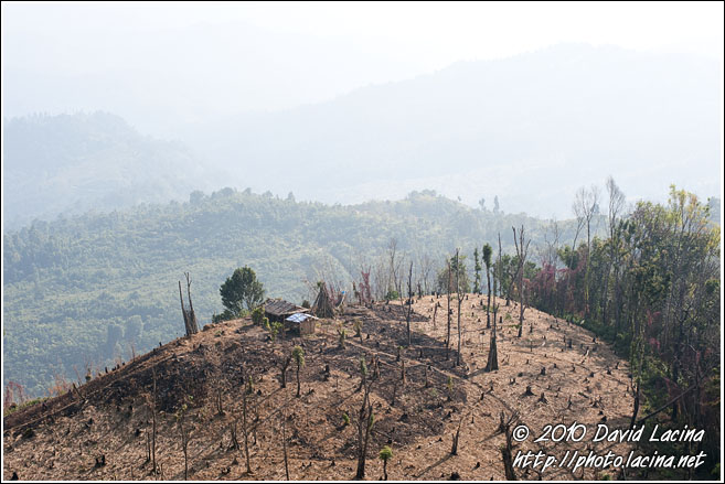 Nagaland Landscape - Nagaland, India