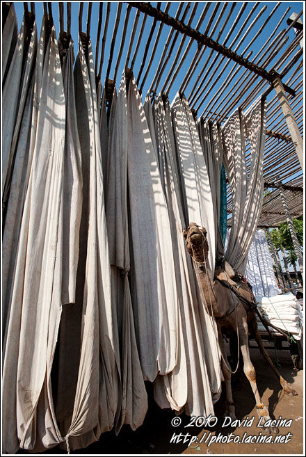 Drying Clothes - Jaipur fabric factory, India