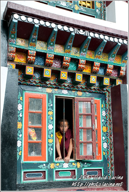 Watching The Dance - Cham Dance, India