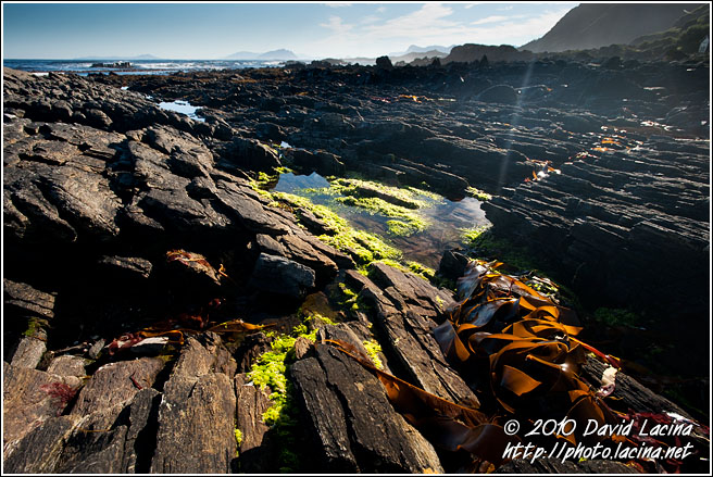 Runde Coast - Land Of Fjords, Norway