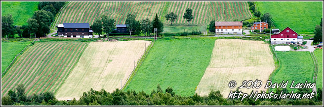 Fields Near Lom - Land Of Fjords, Norway