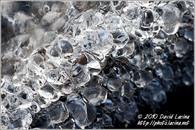 Frozen Kingdom - Best Of 2010, Norway