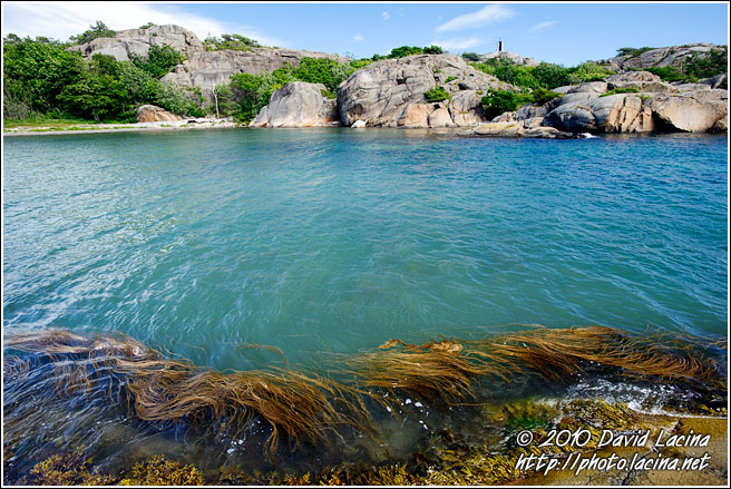 Ertsvika - Best Of 2010, Norway