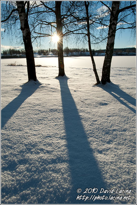 Bogstadvannet - Best Of 2010, Norway