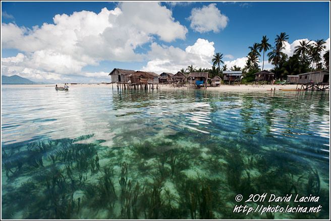 Low Tide - Sea gypsies - Bajau Laut, Malaysia