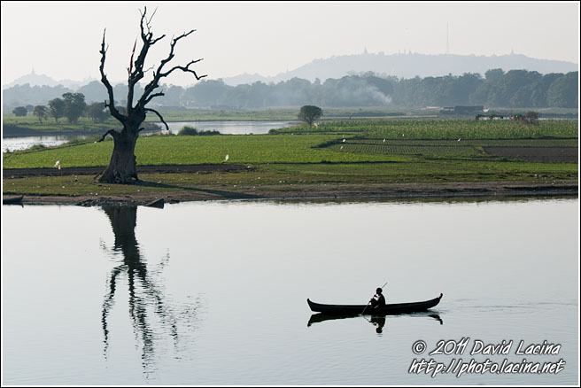 Tree And A Boat - Best Of, Myanmar (Burma)