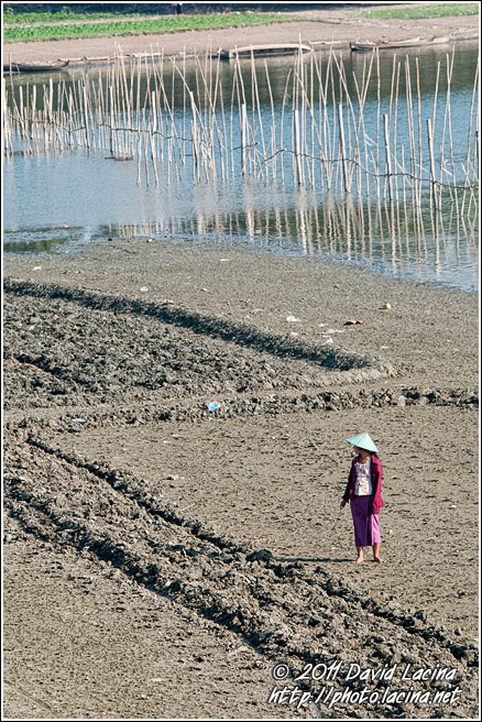Farmer And Her Field - Amarapura, Myanmar (Burma)