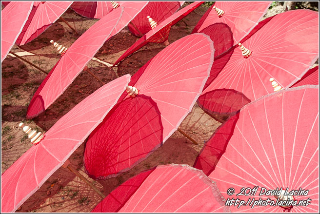 Parasols - Delta Region, Myanmar (Burma)