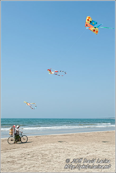 Dragons At Beach - Delta Region, Myanmar (Burma)