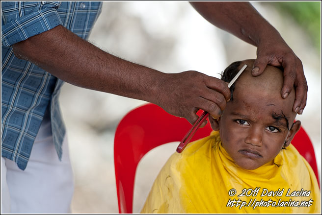 Young Boy Getting  Haircut - Thaipusam, Malaysia