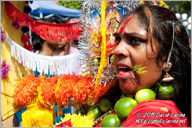 Thaipusam Participant - Thaipusam, Malaysia