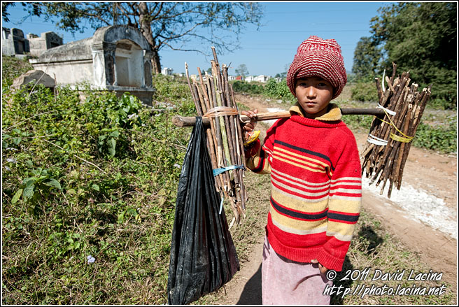Boy Carrying Wood - Hsipaw, Myanmar (Burma)