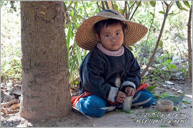 Boy Under Tree - Hsipaw, Myanmar (Burma)