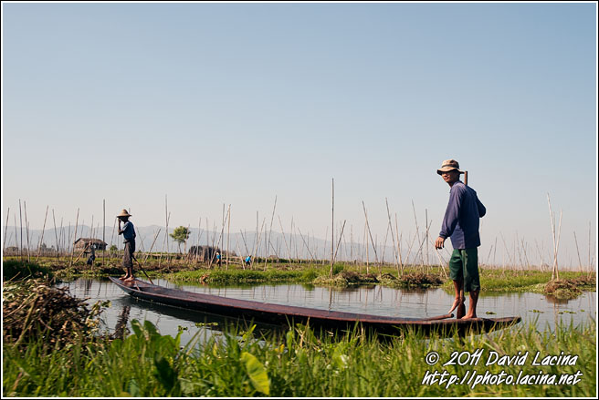 Floating Gardens - Inle Lake, Myanmar (Burma)