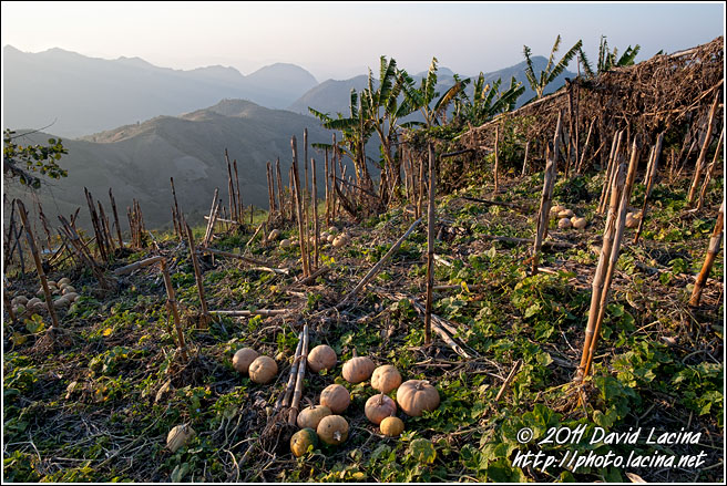 Pumpkins - Kalaw Trekking, Myanmar (Burma)
