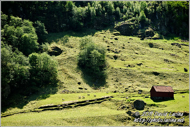 Farmhouse In Nærøyfjord - Nærøyfjord World Heritage Area, Norway