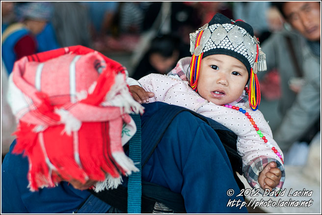 Hani Baby - Xishuangbanna, China