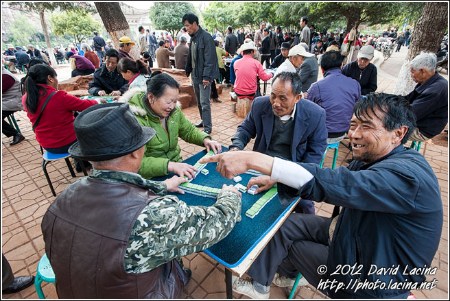 Playing Mahjong - Kunming And Shilin, China