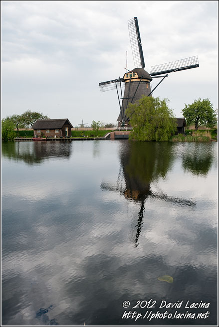Windmill - Kinderdijk, Netherlands