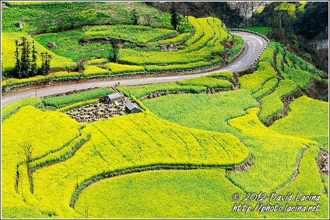 Beehives In Luoping - Luoping, China